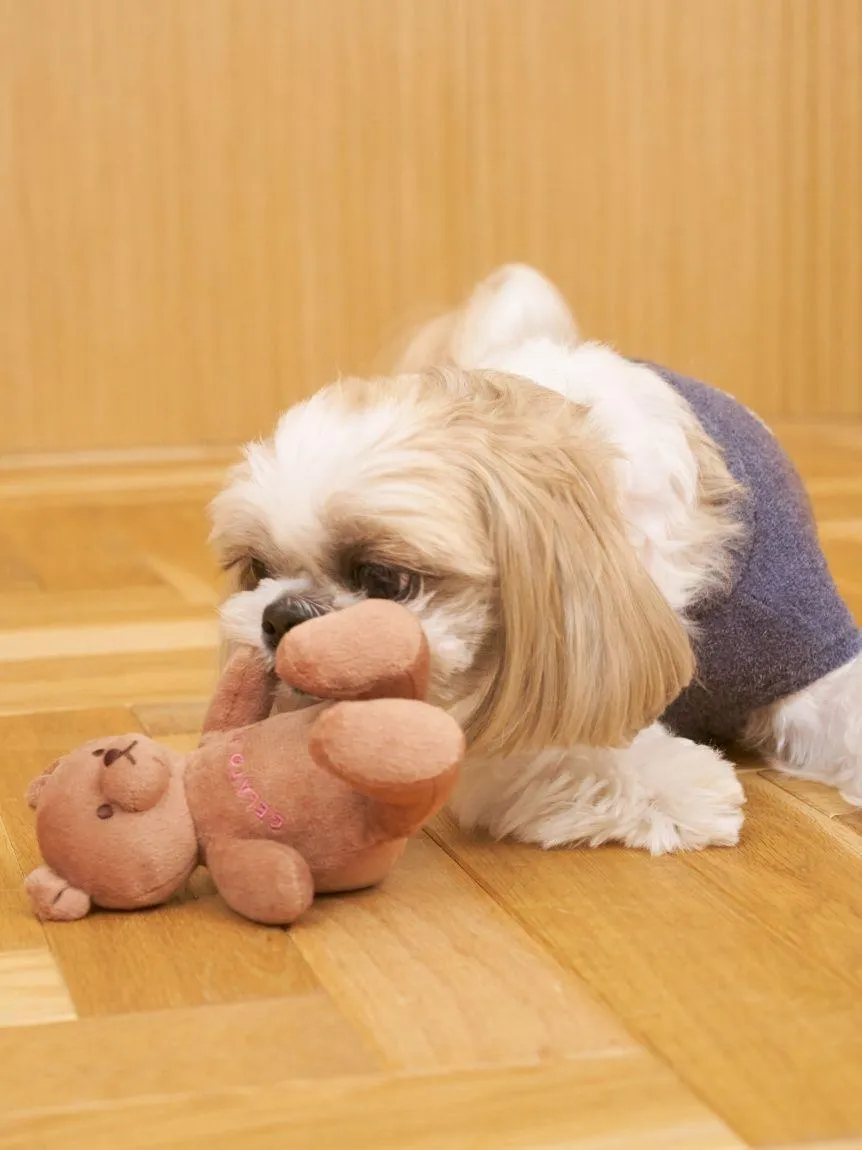 CAT&DOG Autumn Bear Toy gallery 5