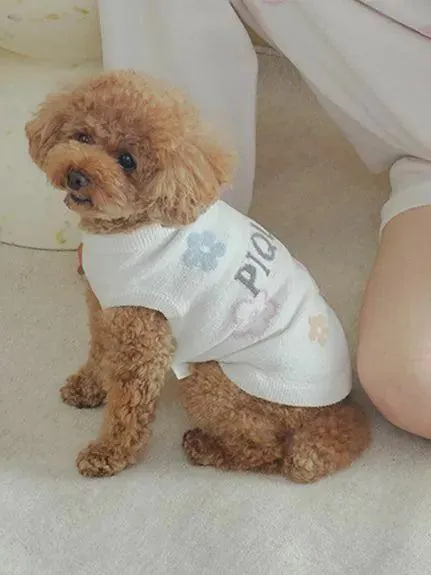 CAT&DOG Flower Logo Jacquard Pullover gallery 1