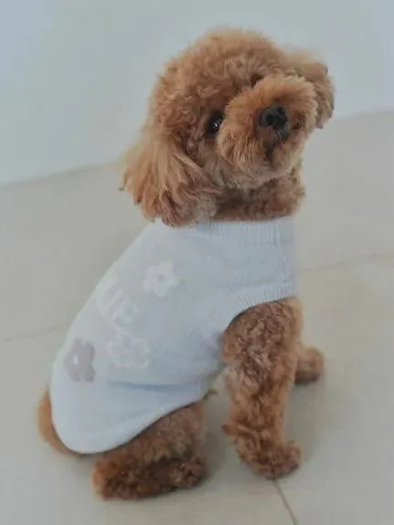CAT&DOG Flower Logo Jacquard Pullover gallery 4