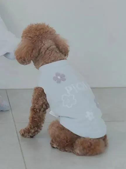 CAT&DOG Flower Logo Jacquard Pullover gallery 7