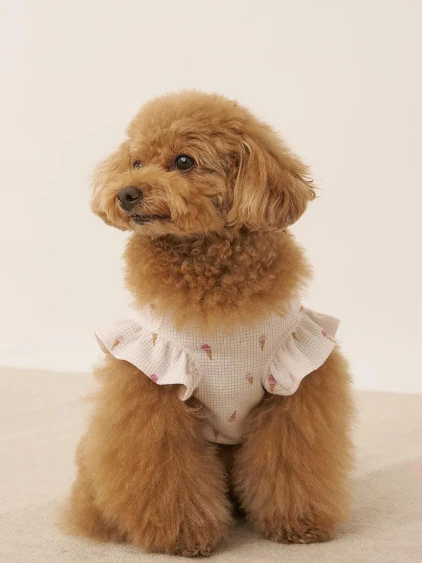 CAT&DOG Ice Cream Waffle Pet Clothes gallery 9