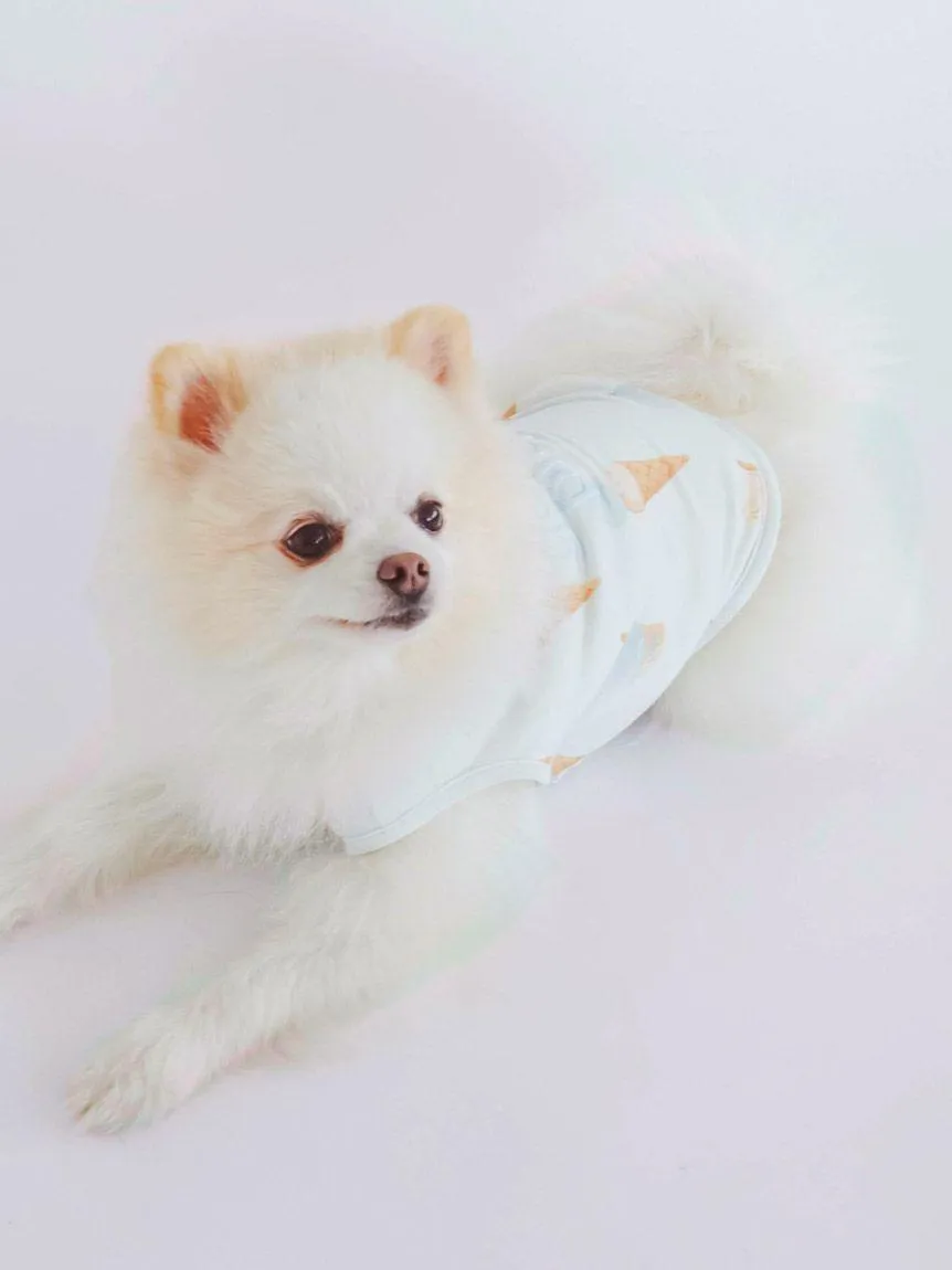 CAT&DOG Ice Pattern COOL Pet Clothes gallery 8