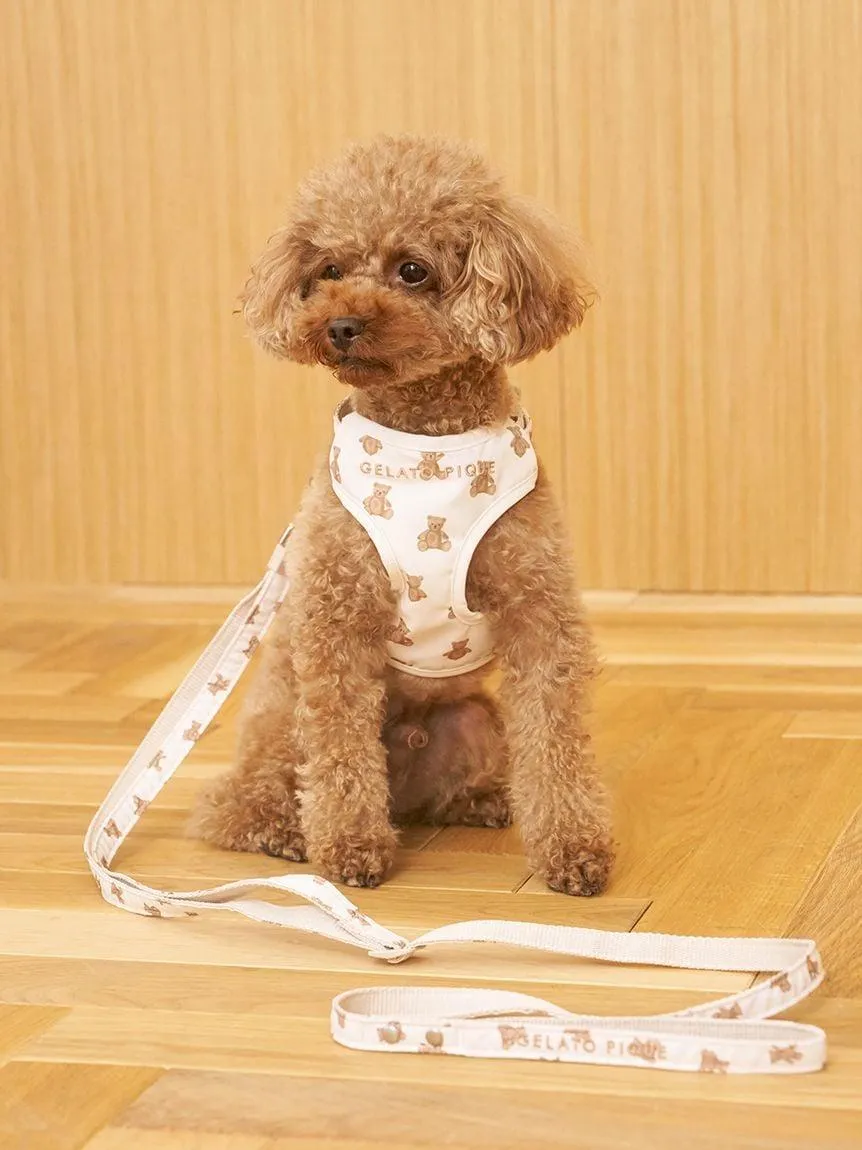 [CAT & DOG] Motif Pattern Leash