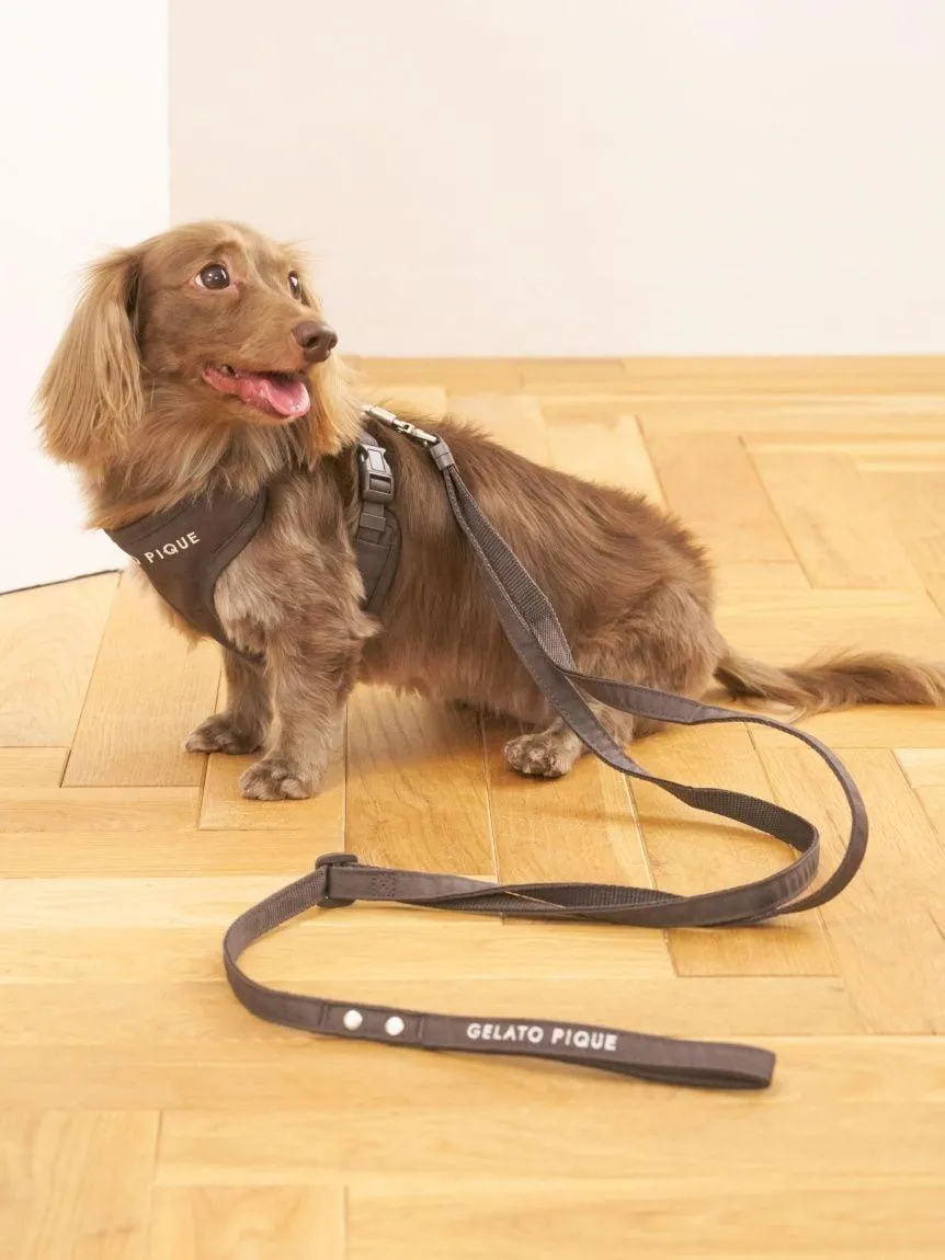 [CAT & DOG] Open-Back Harness gallery 7