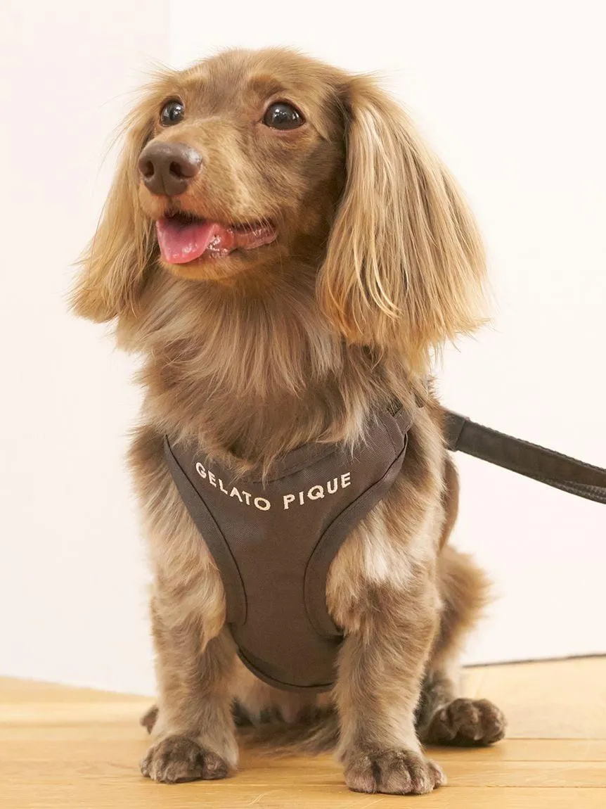 [CAT & DOG] Open-Back Harness gallery 1