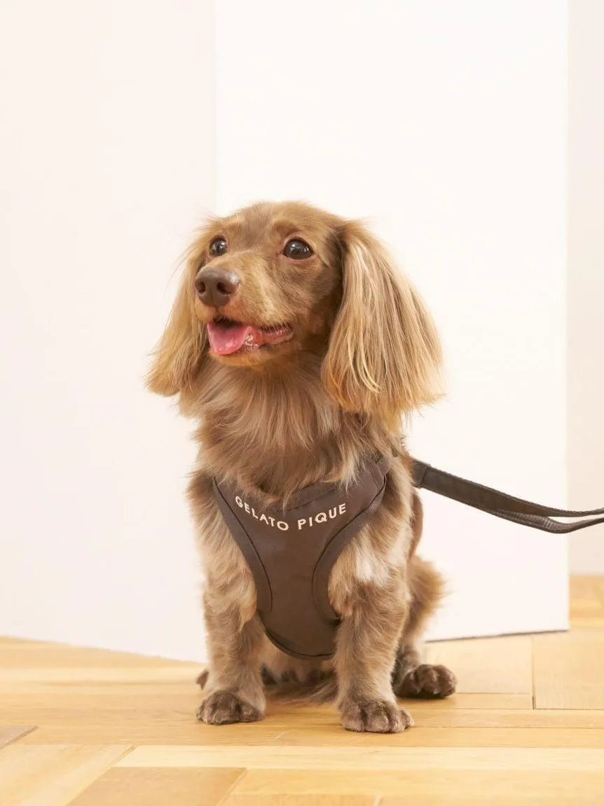 [CAT & DOG] Open-Back Harness gallery 6