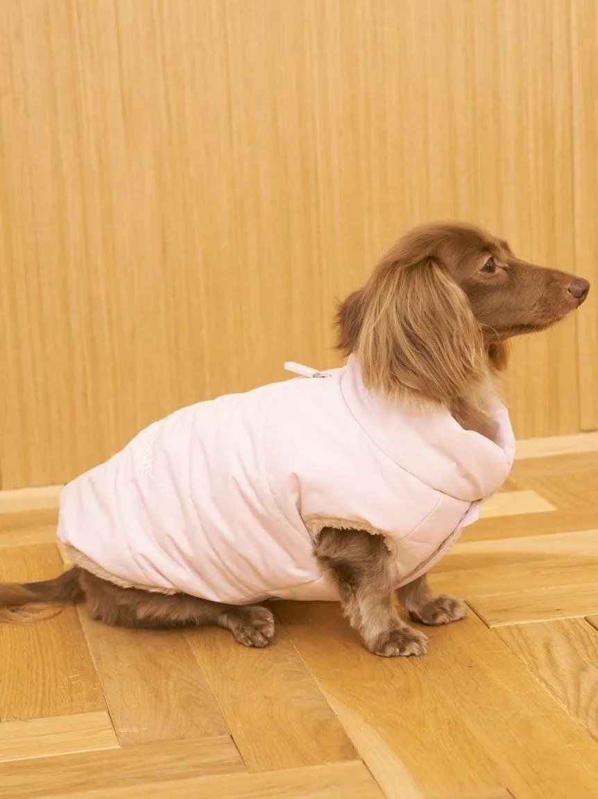 [CAT&DOG] Padded Vest gallery 5