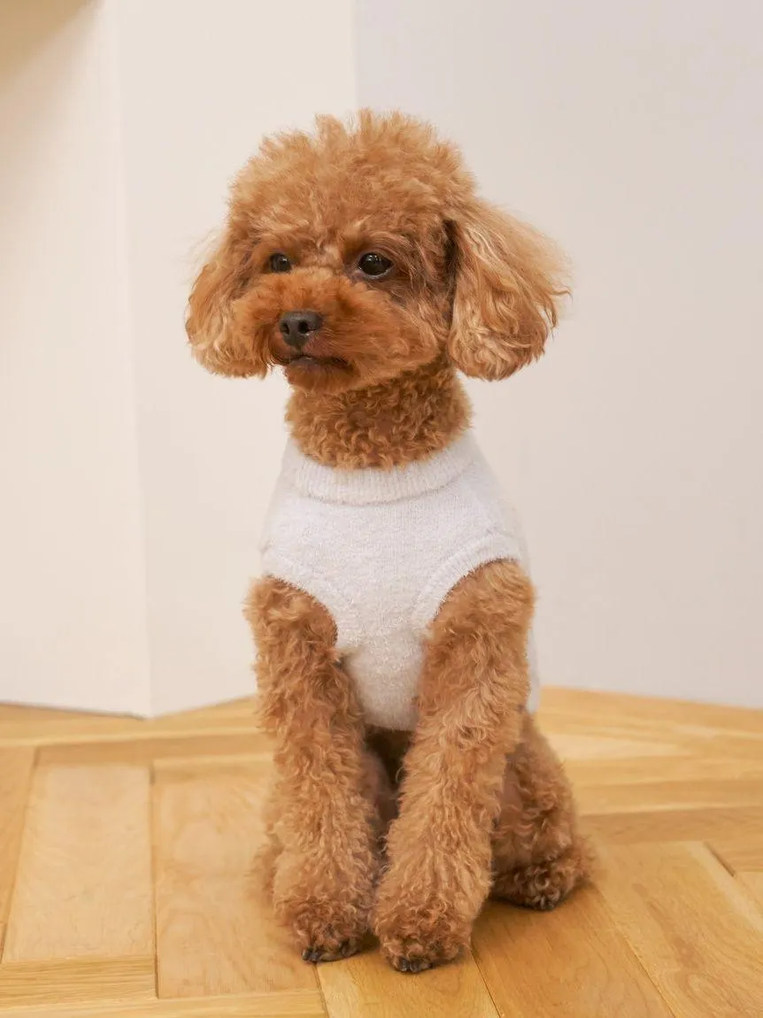 [CAT & DOG] Smoothie Toy Poodle Jacquard Pullover gallery 4