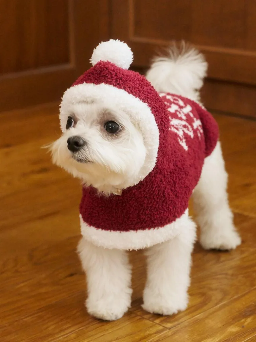 [CAT & DOG] Baby Moco Santa Cape gallery 1