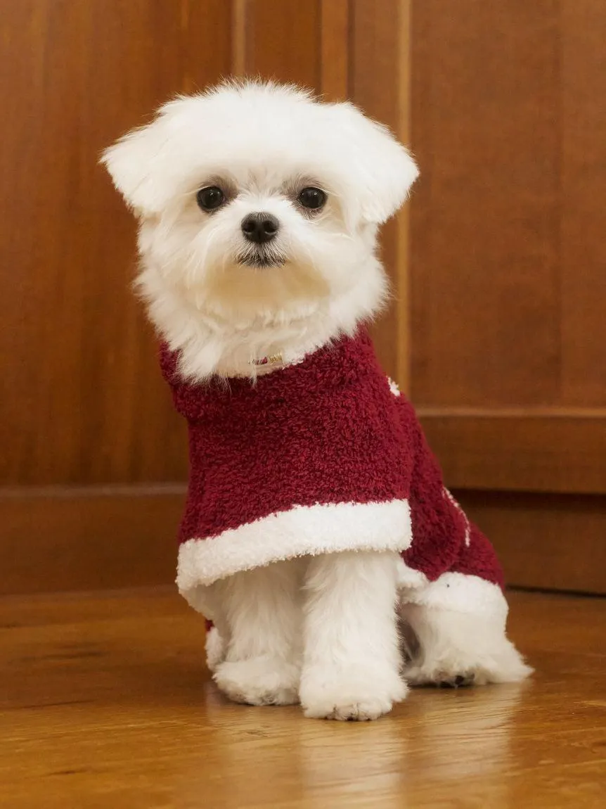 [CAT & DOG] Baby Moco Santa Cape gallery 3