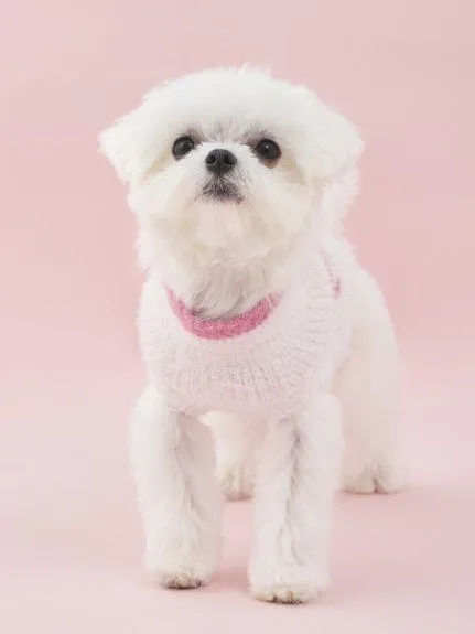 [CAT&DOG] Glittering Feather Pet Pullover gallery 3