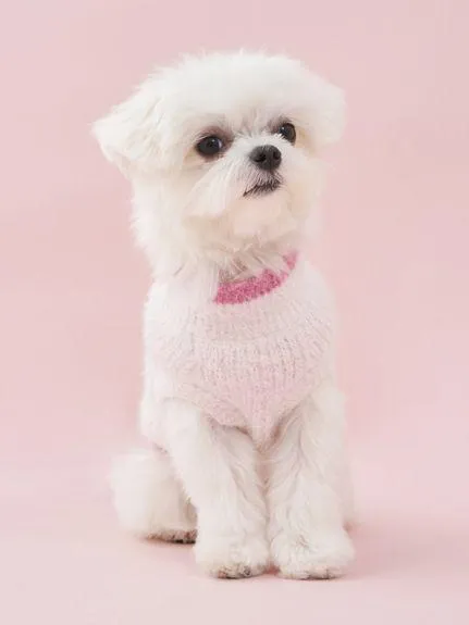[CAT&DOG] Glittering Feather Pet Pullover gallery 2