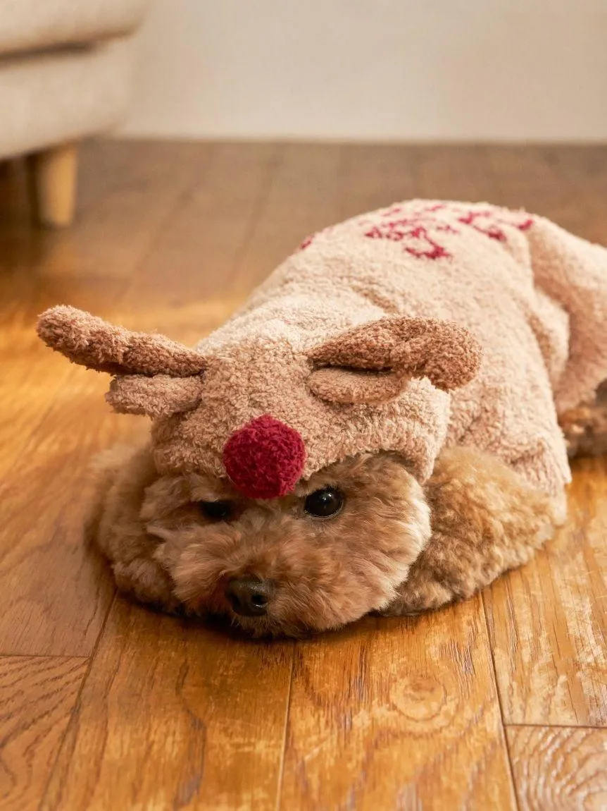 [CAT&DOG] Reindeer Cape gallery 2