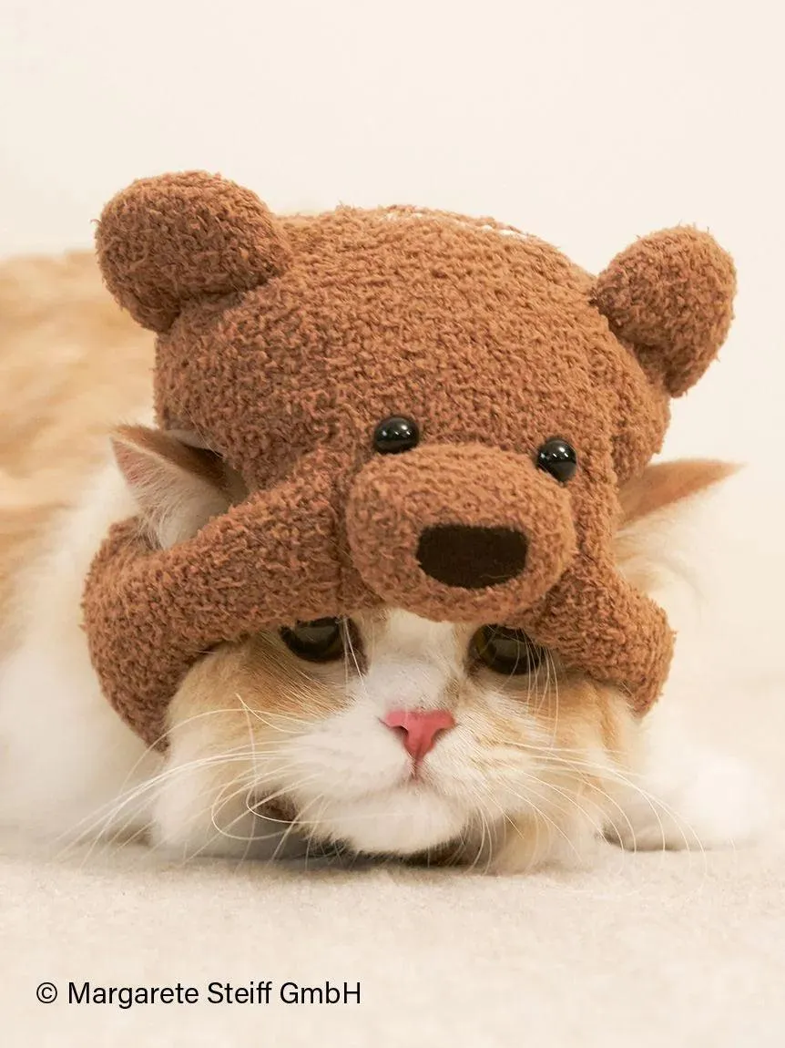 [Steiff] [CAT&DOG] Knit Cap gallery 3